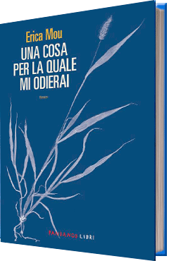 Una cosa per la quale mi odierai